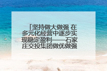 坚持做大做强 在多元化经营中逐步实现稳定盈利——石家庄交投集团做优做强典型报道之三