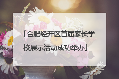 合肥经开区首届家长学校展示活动成功举办