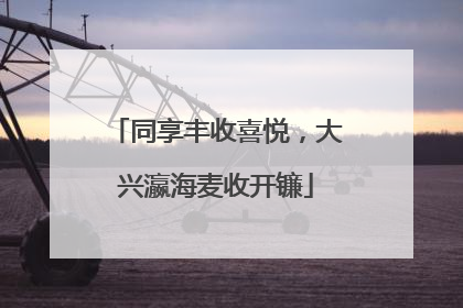 同享丰收喜悦，大兴瀛海麦收开镰