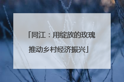 同江：用绽放的玫瑰 推动乡村经济振兴
