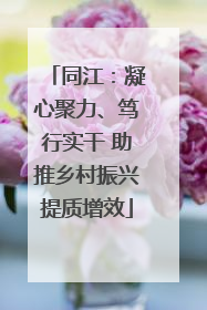 同江：凝心聚力、笃行实干 助推乡村振兴提质增效