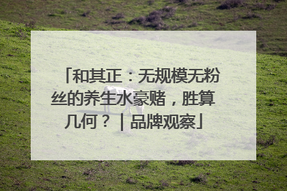 和其正：无规模无粉丝的养生水豪赌，胜算几何？｜品牌观察
