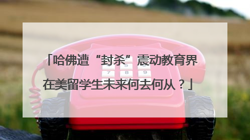 哈佛遭“封杀”震动教育界 在美留学生未来何去何从？