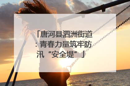 唐河县泗洲街道：青春力量筑牢防汛“安全堤”
