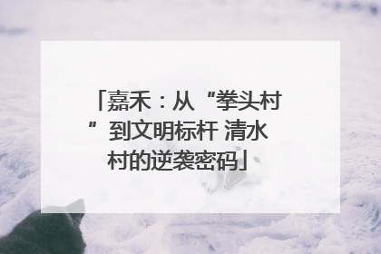 嘉禾：从“拳头村”到文明标杆 清水村的逆袭密码