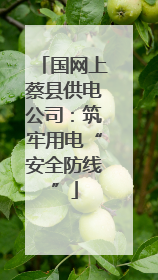 国网上蔡县供电公司：筑牢用电“安全防线”