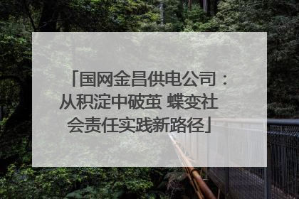 国网金昌供电公司：从积淀中破茧 蝶变社会责任实践新路径