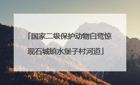 国家二级保护动物白鹭惊现石城镇水堡子村河道