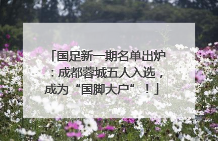 国足新一期名单出炉：成都蓉城五人入选，成为“国脚大户”！