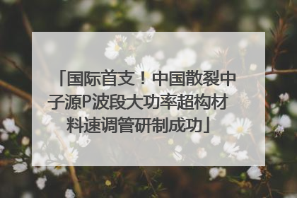 国际首支！中国散裂中子源P波段大功率超构材料速调管研制成功