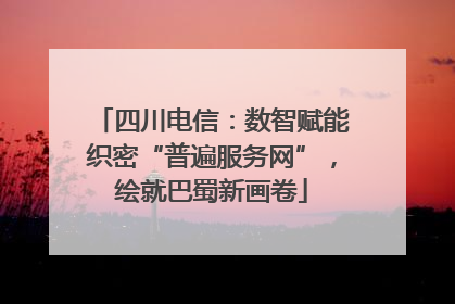 四川电信：数智赋能织密“普遍服务网”，绘就巴蜀新画卷