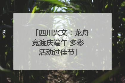 四川兴文：龙舟竞渡庆端午 多彩活动过佳节