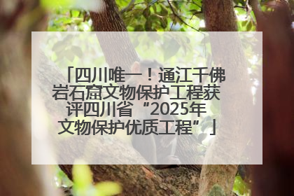 四川唯一！通江千佛岩石窟文物保护工程获评四川省“2025年文物保护优质工程”