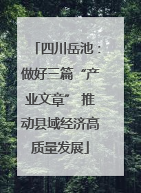 四川岳池：做好三篇“产业文章” 推动县域经济高质量发展