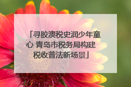 寻胶澳税史润少年童心 青岛市税务局构建税收普法新场景