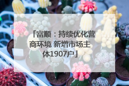 富顺：持续优化营商环境 新增市场主体1907户