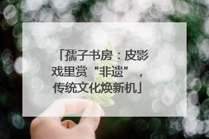 孺子书房：皮影戏里赏“非遗”，传统文化焕新机