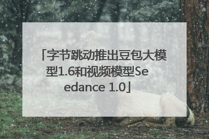 字节跳动推出豆包大模型1.6和视频模型Seedance 1.0