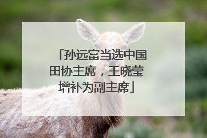 孙远富当选中国田协主席，王晓莹增补为副主席