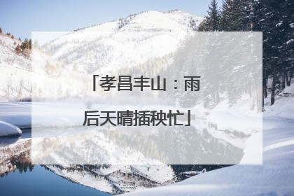孝昌丰山：雨后天晴插秧忙