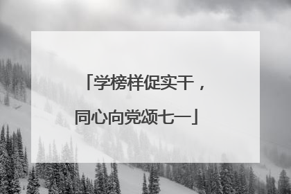 学榜样促实干，同心向党颂七一
