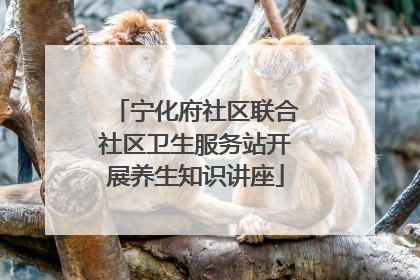 宁化府社区联合社区卫生服务站开展养生知识讲座