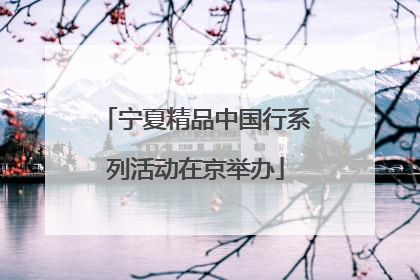宁夏精品中国行系列活动在京举办