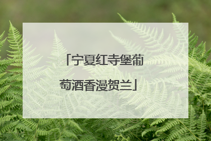宁夏红寺堡葡萄酒香漫贺兰