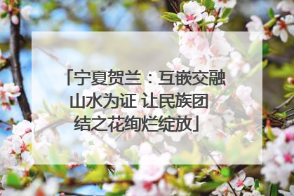 宁夏贺兰：互嵌交融 山水为证 让民族团结之花绚烂绽放