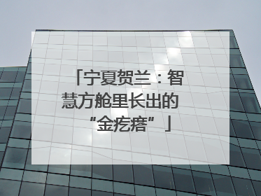 宁夏贺兰：智慧方舱里长出的“金疙瘩”