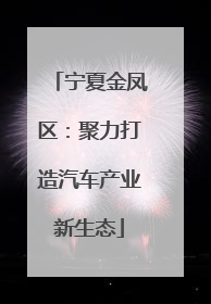 宁夏金凤区：聚力打造汽车产业新生态