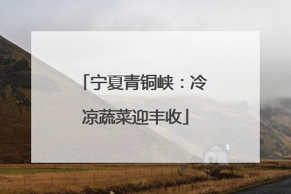 宁夏青铜峡：冷凉蔬菜迎丰收