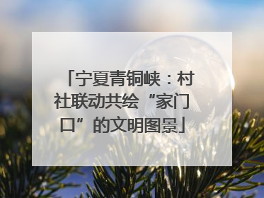 宁夏青铜峡：村社联动共绘“家门口”的文明图景