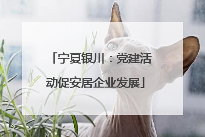 宁夏银川：党建活动促安居企业发展