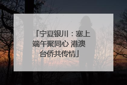 宁夏银川：塞上端午聚同心 港澳台侨共传情