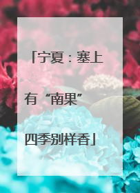 宁夏：塞上有“南果” 四季别样香