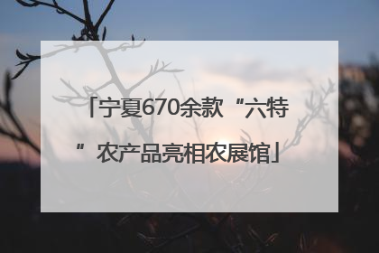 宁夏670余款“六特”农产品亮相农展馆