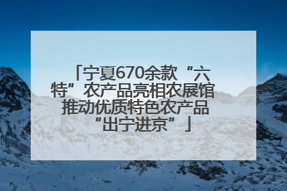 宁夏670余款“六特”农产品亮相农展馆 推动优质特色农产品“出宁进京”