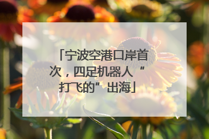 宁波空港口岸首次，四足机器人“打飞的”出海