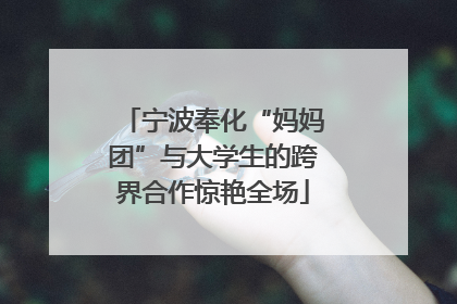 宁波奉化“妈妈团”与大学生的跨界合作惊艳全场