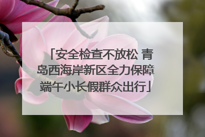 安全检查不放松 青岛西海岸新区全力保障端午小长假群众出行