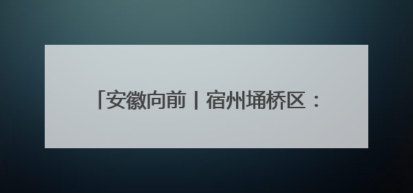 安徽向前丨宿州埇桥区：建智慧物流 兴产业引擎