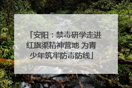 安阳：禁毒研学走进红旗渠精神营地 为青少年筑牢防毒防线