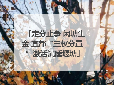 定分止争 闲塘生金 宜都“三权分置”激活沉睡堰塘