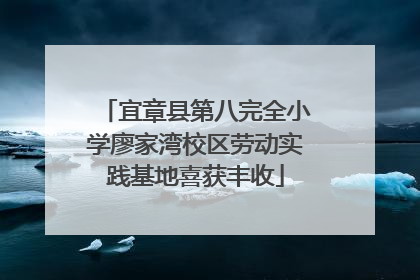 宜章县第八完全小学廖家湾校区劳动实践基地喜获丰收