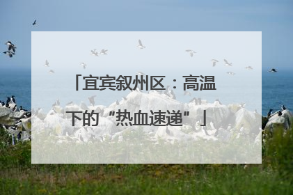 宜宾叙州区：高温下的“热血速递”