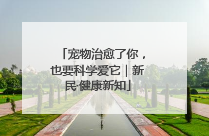 宠物治愈了你，也要科学爱它｜新民·健康新知