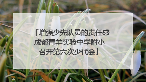 增强少先队员的责任感 成都青羊实验中学附小召开第六次少代会