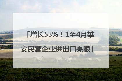 增长53%！1至4月雄安民营企业进出口亮眼