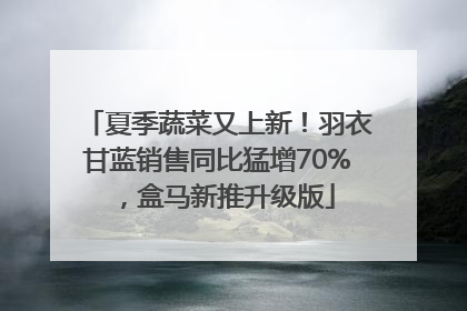 夏季蔬菜又上新！羽衣甘蓝销售同比猛增70%，盒马新推升级版